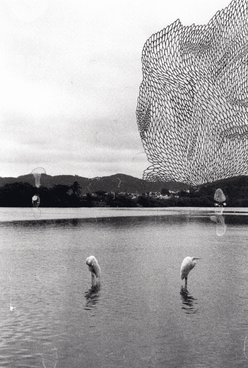 Lagoa